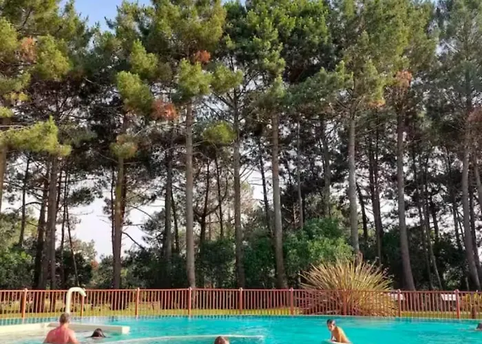 Апартаменты Calme Et Confort